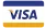 Visa payment icon